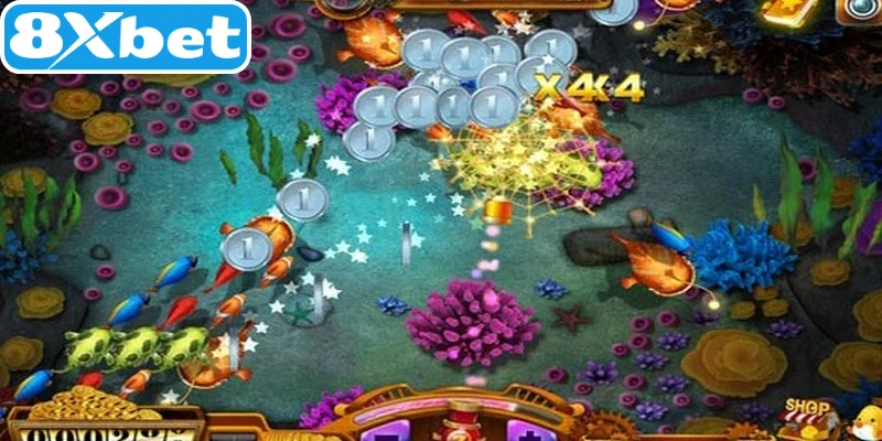 Chiến thuật săn cá Cash Spinner đỉnh cao từ chuyên gia